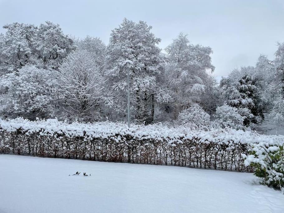 Bonny Wee Snug - Pod In Spean Bridge Daire Dış mekan fotoğraf